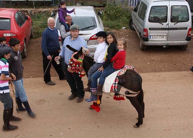 010, burros en romera