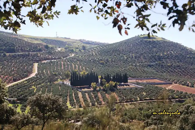 03, desde la loma del pino, marca