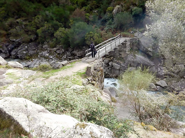 DSCN1965 DSCN1965