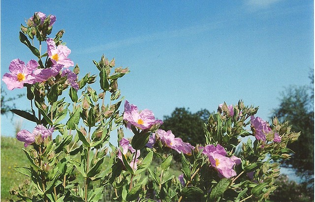 05