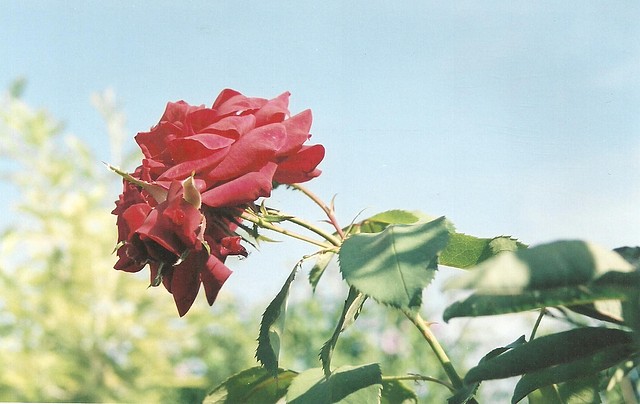 17 17