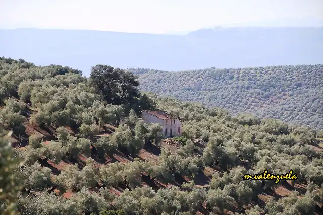 10, cortijo de Temisto, marca