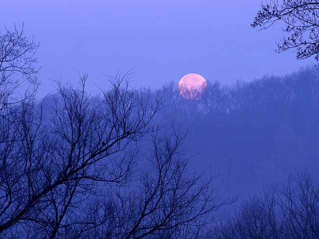 Full Moon Setting, Percy Warner State Park, Tennessee Full Moon Setting, Percy Warner State Park, Tennessee