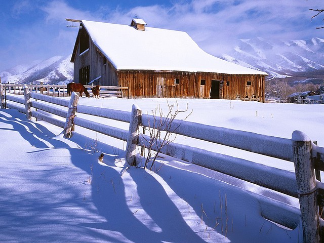 Fresh Country Snow, Utah Fresh Country Snow, Utah