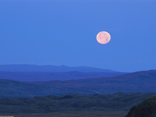 Full Moon Above the Rolling Tundra, Alaska Full Moon Above the Rolling Tundra, Alaska