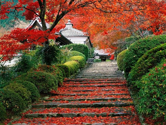 Garden Staircase, Kyoto, Japan Garden Staircase, Kyoto, Japan