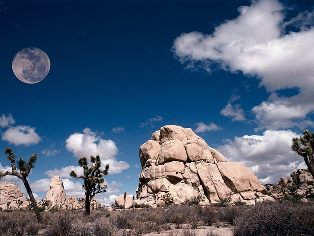 Full Moon at Joshua Tree, California Full Moon at Joshua Tree, California