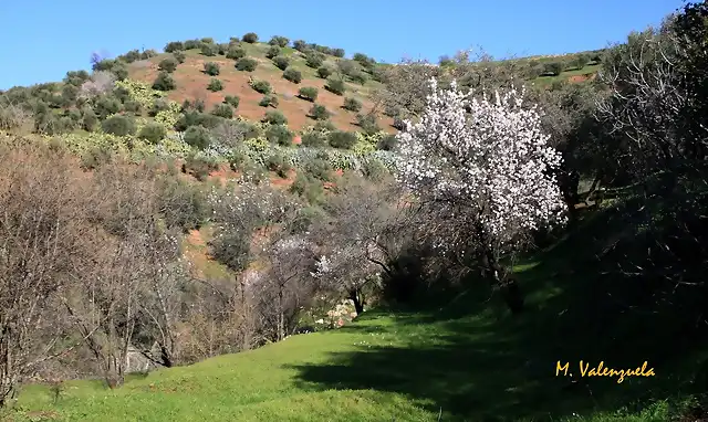 009, la ruta del Hondillo, marca