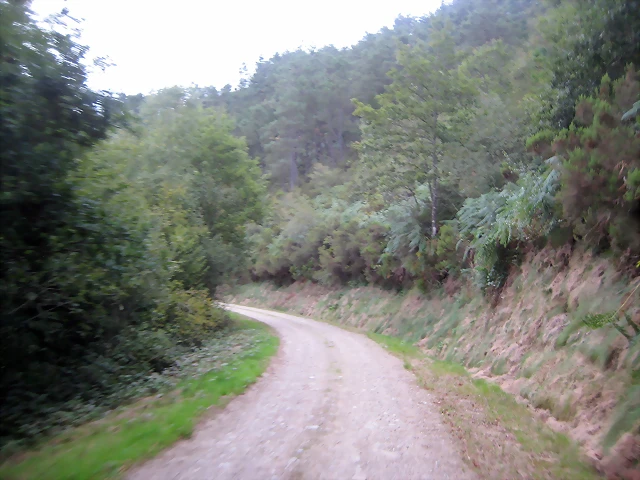 IMG_0493 IMG_0493
