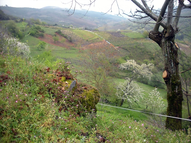 DSCN3851 DSCN3851