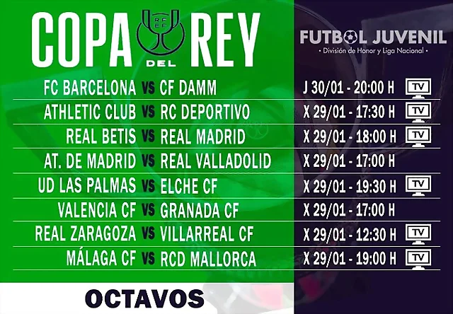 OCTV25-H OCTV25-H
