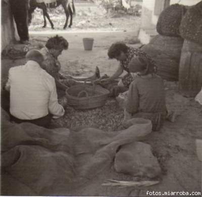 Descascarando almendra