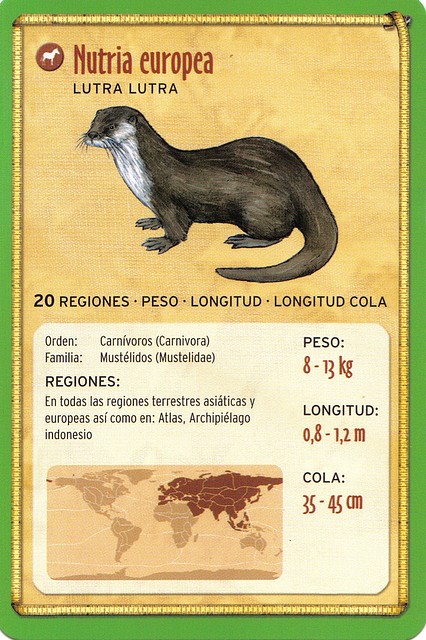 nutria europea