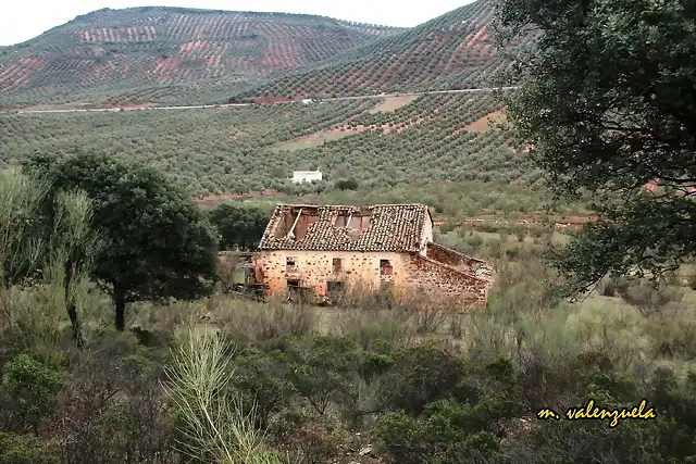 04, Mara Paredes 2, marca, vale