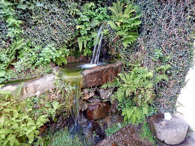 DSCN7246 DSCN7246