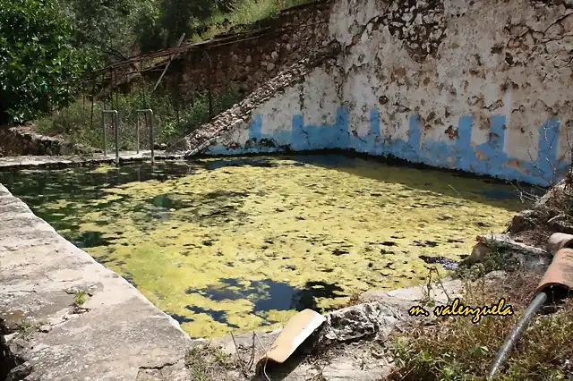 011, alberca, marca