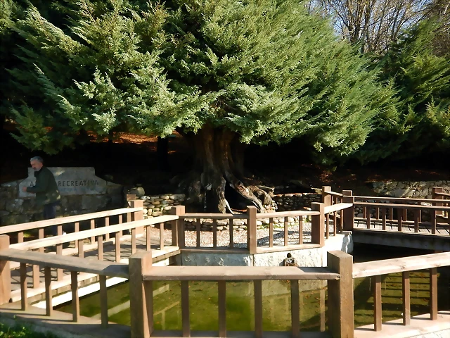 DSCN1544 DSCN1544