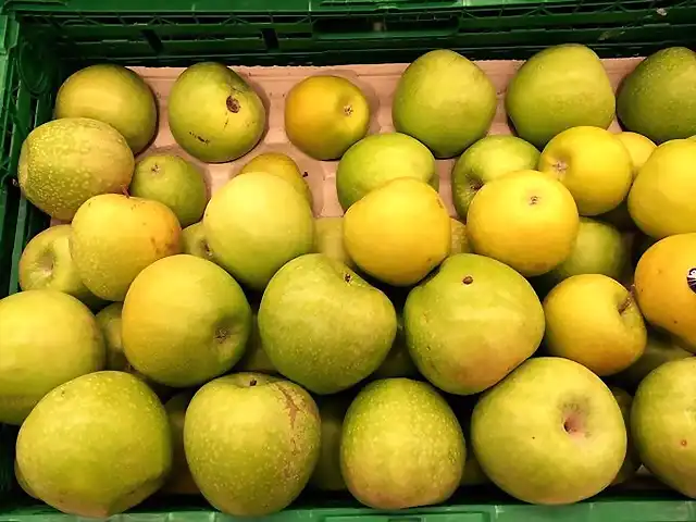 Manzana reineta