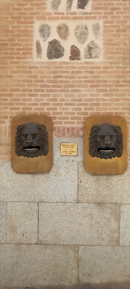 20240710_115529 20240710_115529