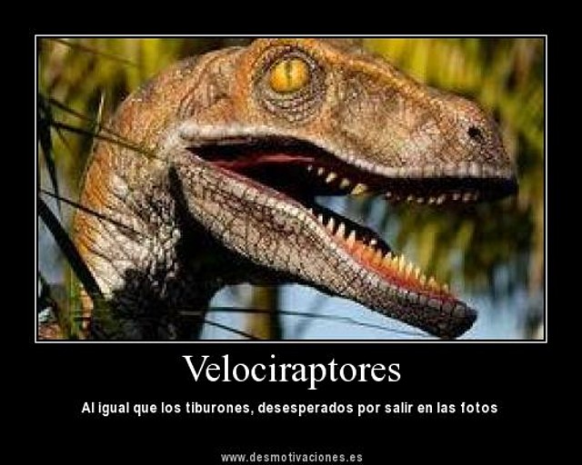 velocirraptorv