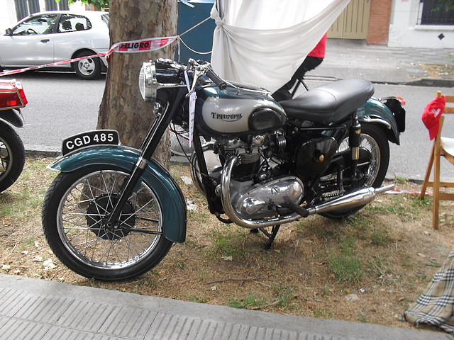SDC17065
