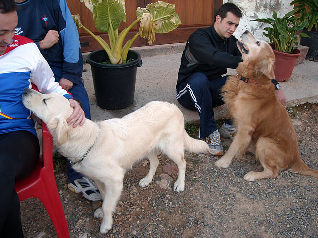 Las mascotas de la masia