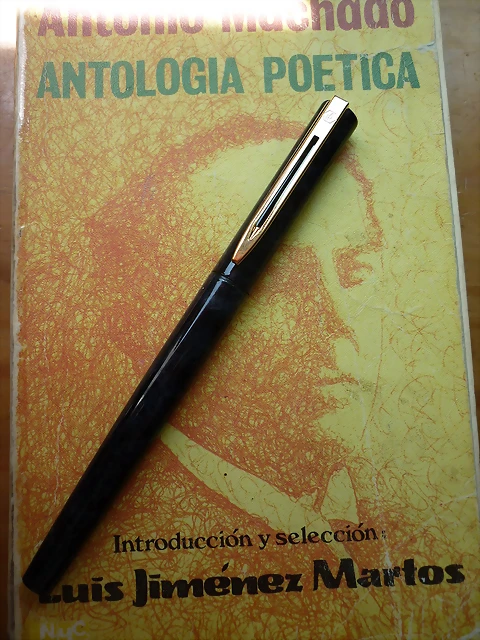 P1010595 P1010595