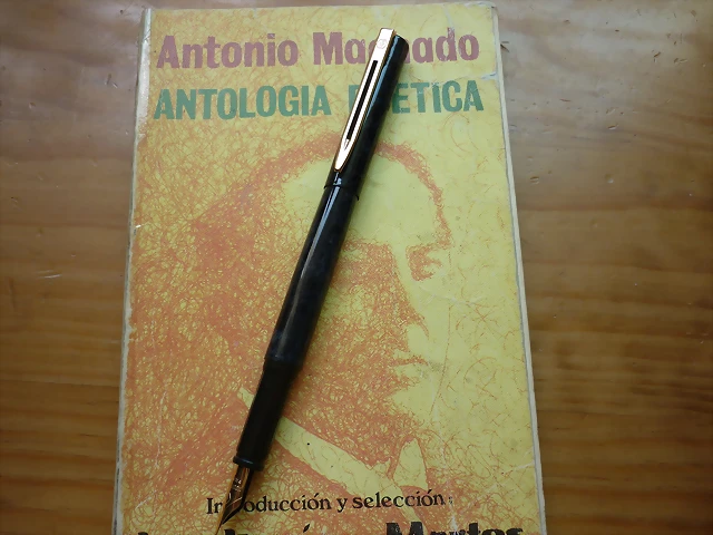 P1010598 P1010598
