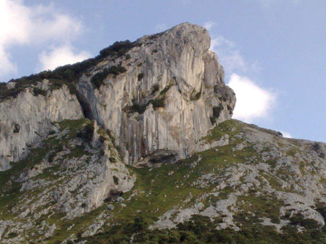 07082010598 07082010598