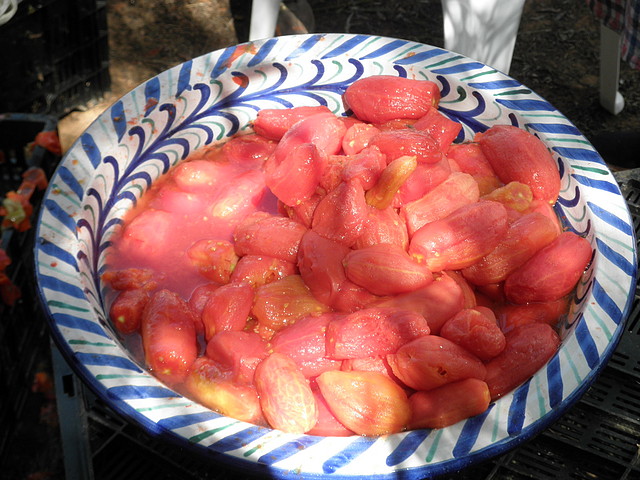 006, tomates pelados