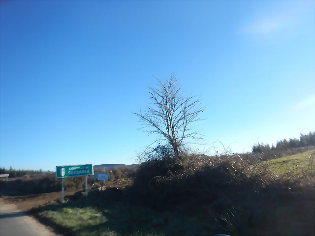 DSCN2585 DSCN2585
