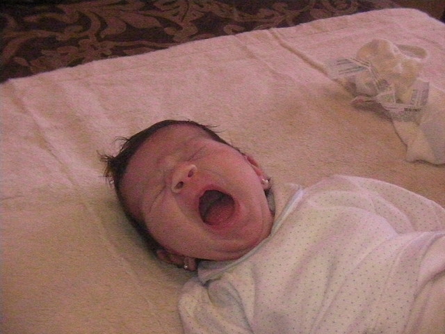 SANY0132 SANY0132