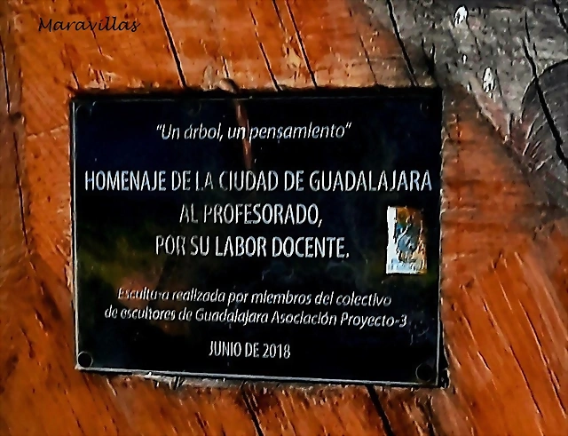 20230827_201154 20230827_201154