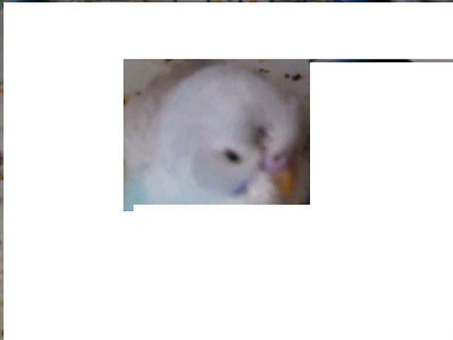 ESTA