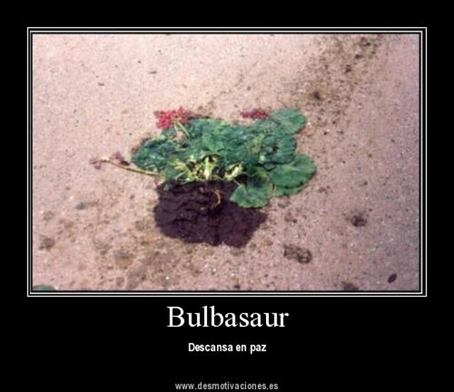 bulbasaur_epic_fail