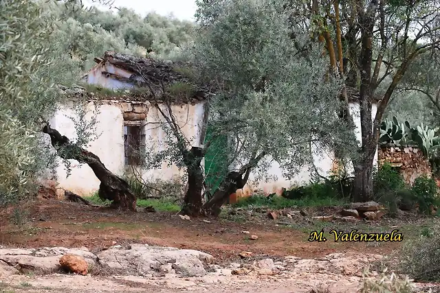 05, cortijo de caballo, marca