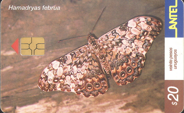 MARIPOSA01