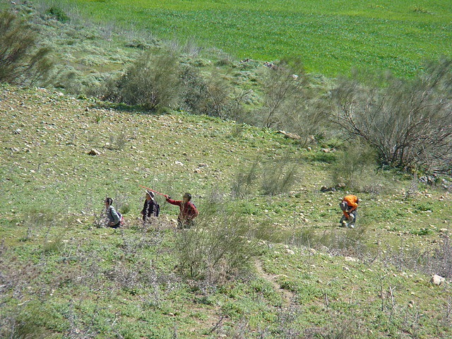 Ruta Montejaque (13)