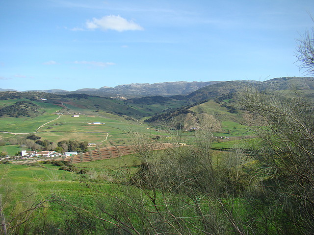 Ruta Montejaque (59)