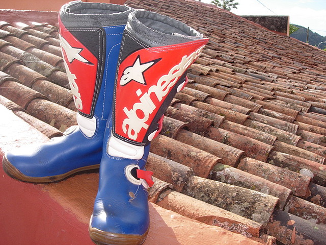 pedro 003 pedro 003