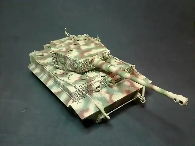 TIGER12