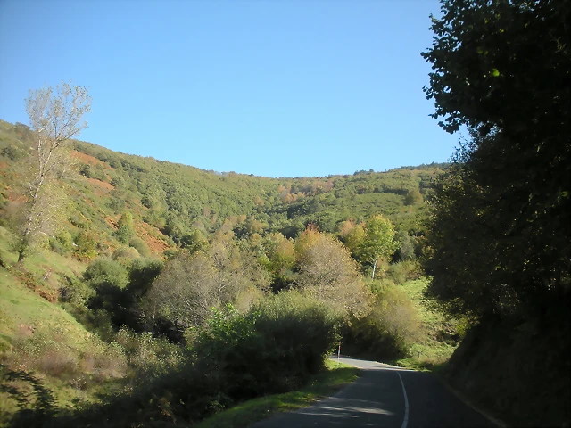 DSCN0038 DSCN0038
