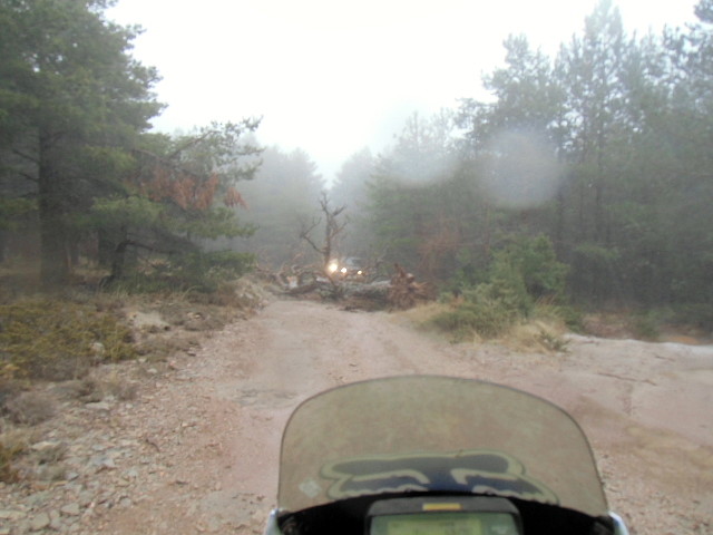 CIMG0749 CIMG0749