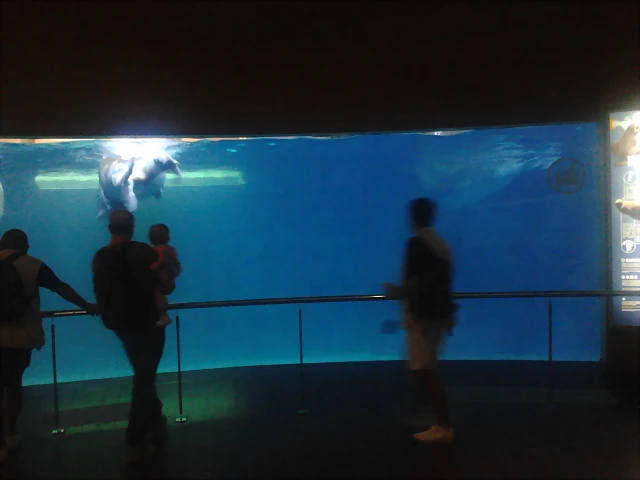 2013-08-29 14.14.56 2013-08-29 14.14.56