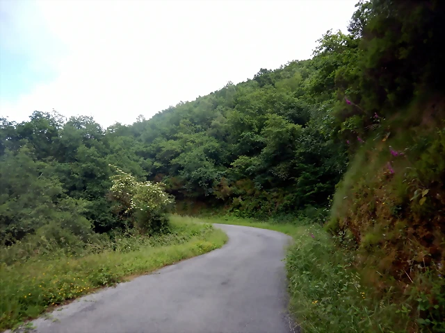 DSCN7445 DSCN7445