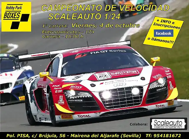 CARTEL CARRERA 1_24 041013 corregido AUDI R8