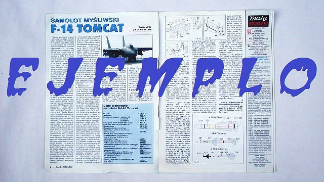 F-14 Samolot Mysliwski (Papercraft) by Péndragon