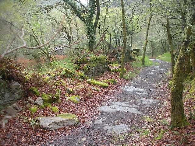 DSCN4195 DSCN4195