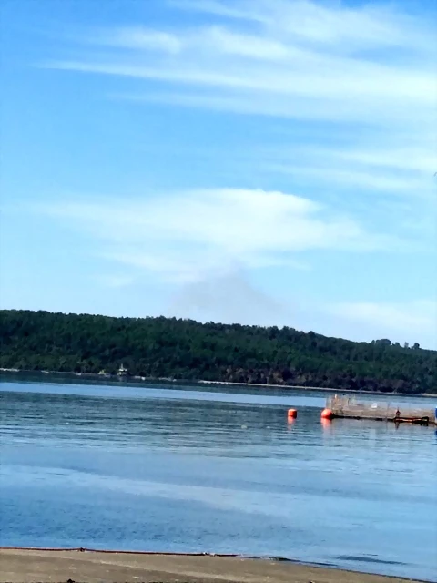IMG-20210208-WA0002
