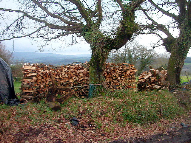 DSCN6027 DSCN6027